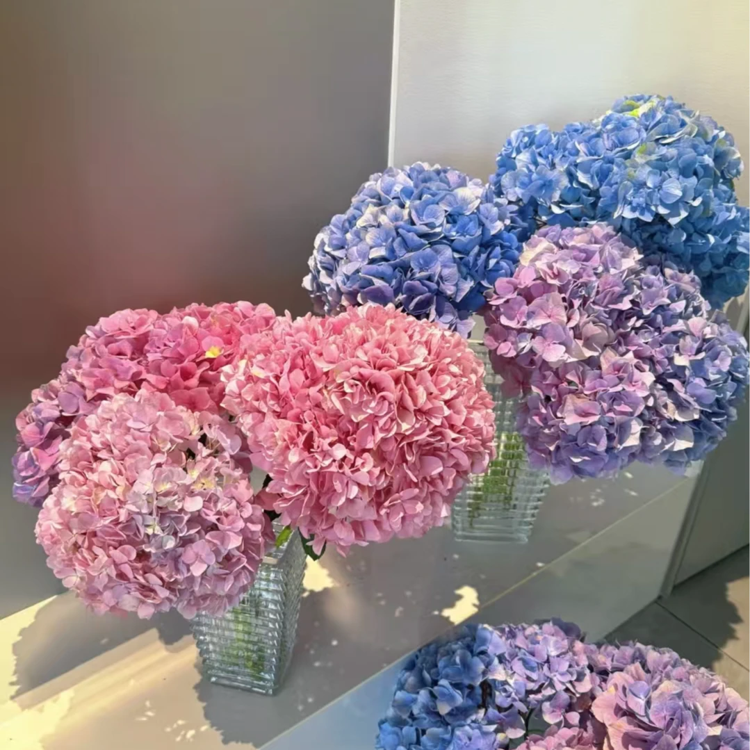 【绿美花语】A级稀有绣球鲜花云南基地直采直发水养插花包邮