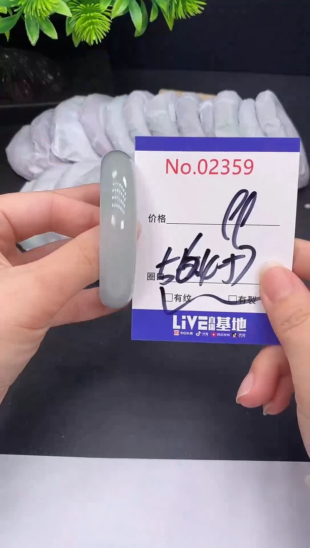 未镶嵌手镯翡翠2359