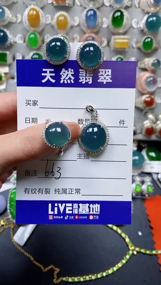 【闪购商品】翡翠颈饰银S925镶嵌0663