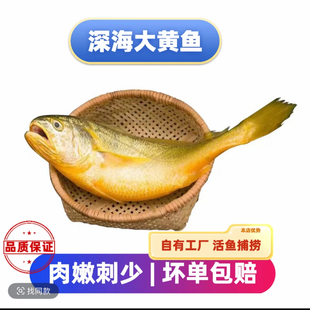 正宗深海大黄鱼8-9两条(4条3斤以上) 鲜发(江浙沪皖外冻发)顺丰