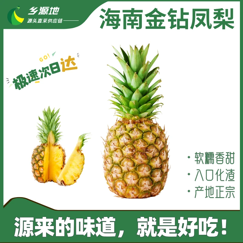 海南树上熟金钻凤梨爆甜多汁香气十足（单果2斤以上）