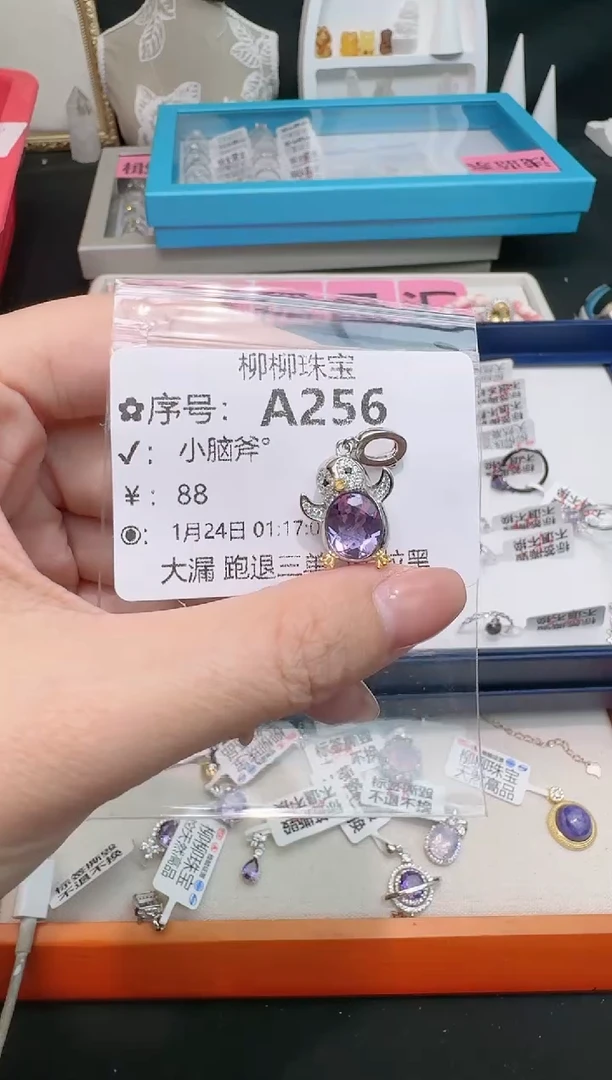 【闪购商品】水晶颈饰银S925镶嵌多样性发一A256