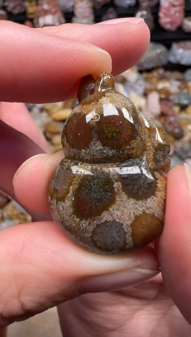 颈饰未镶嵌硅化珊瑚（珊瑚玉）421