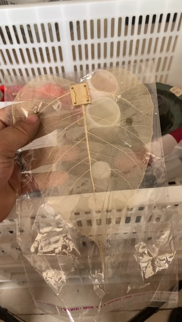 无运费险有瑕疵的摄影的产品有使用过的痕迹有点脏介意勿拍