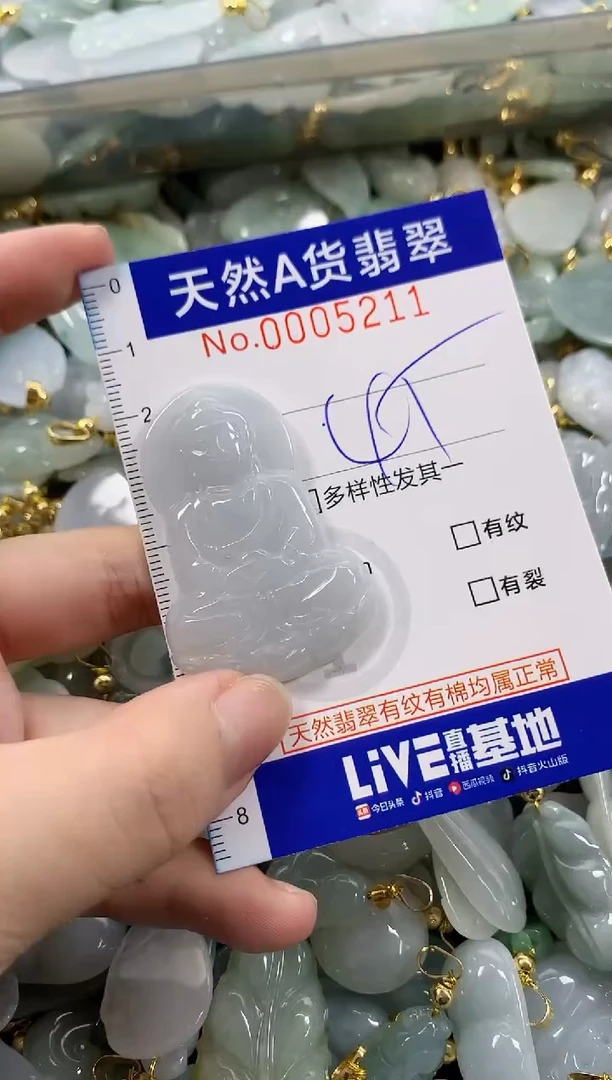 颈饰未镶嵌翡翠天然A货翡翠