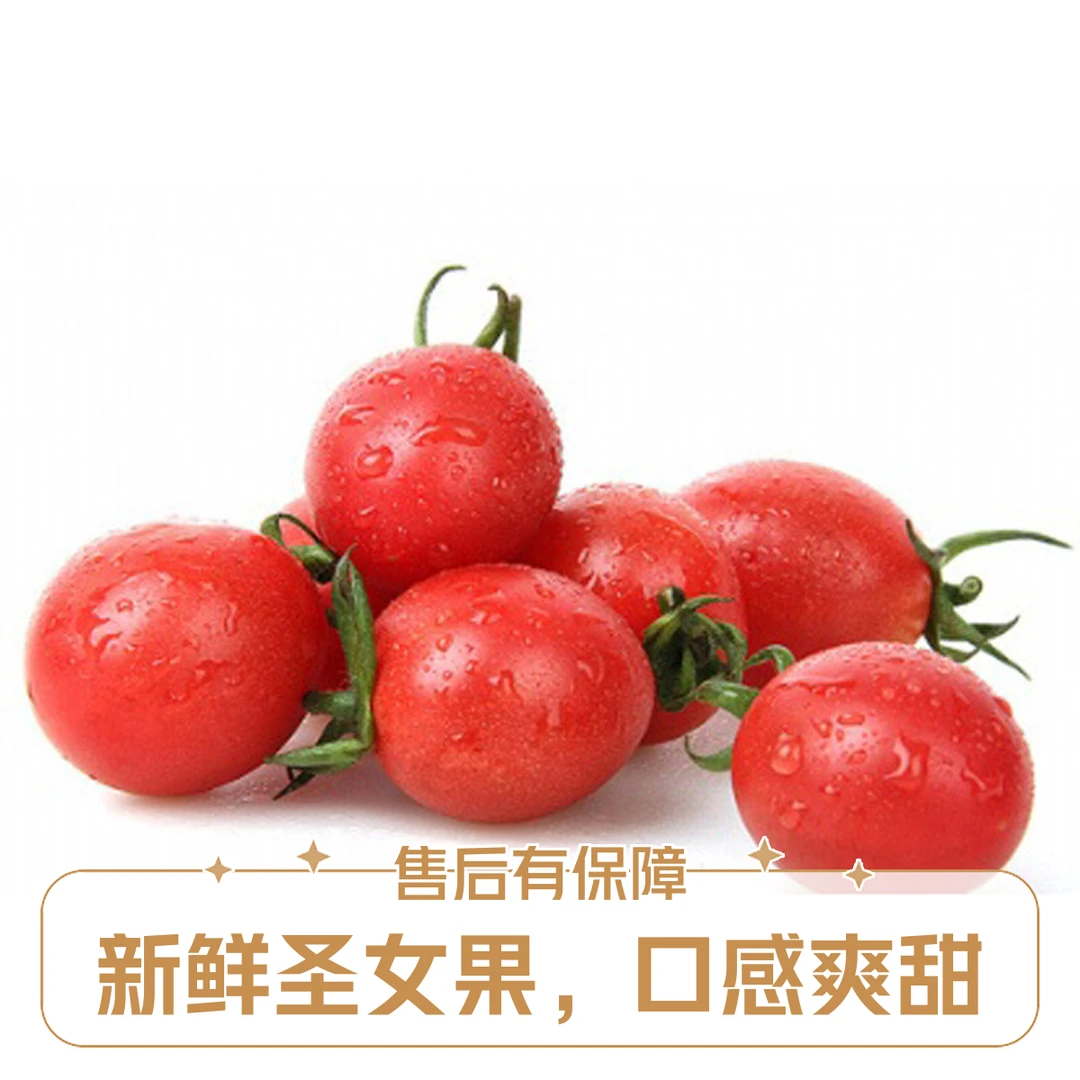 【火爆】千禧柿约1000±20克新鲜番茄小番茄同城配河北省