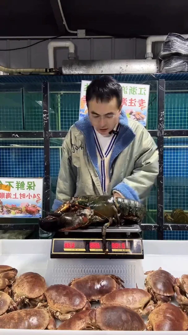 中国大陆波龙6.2斤