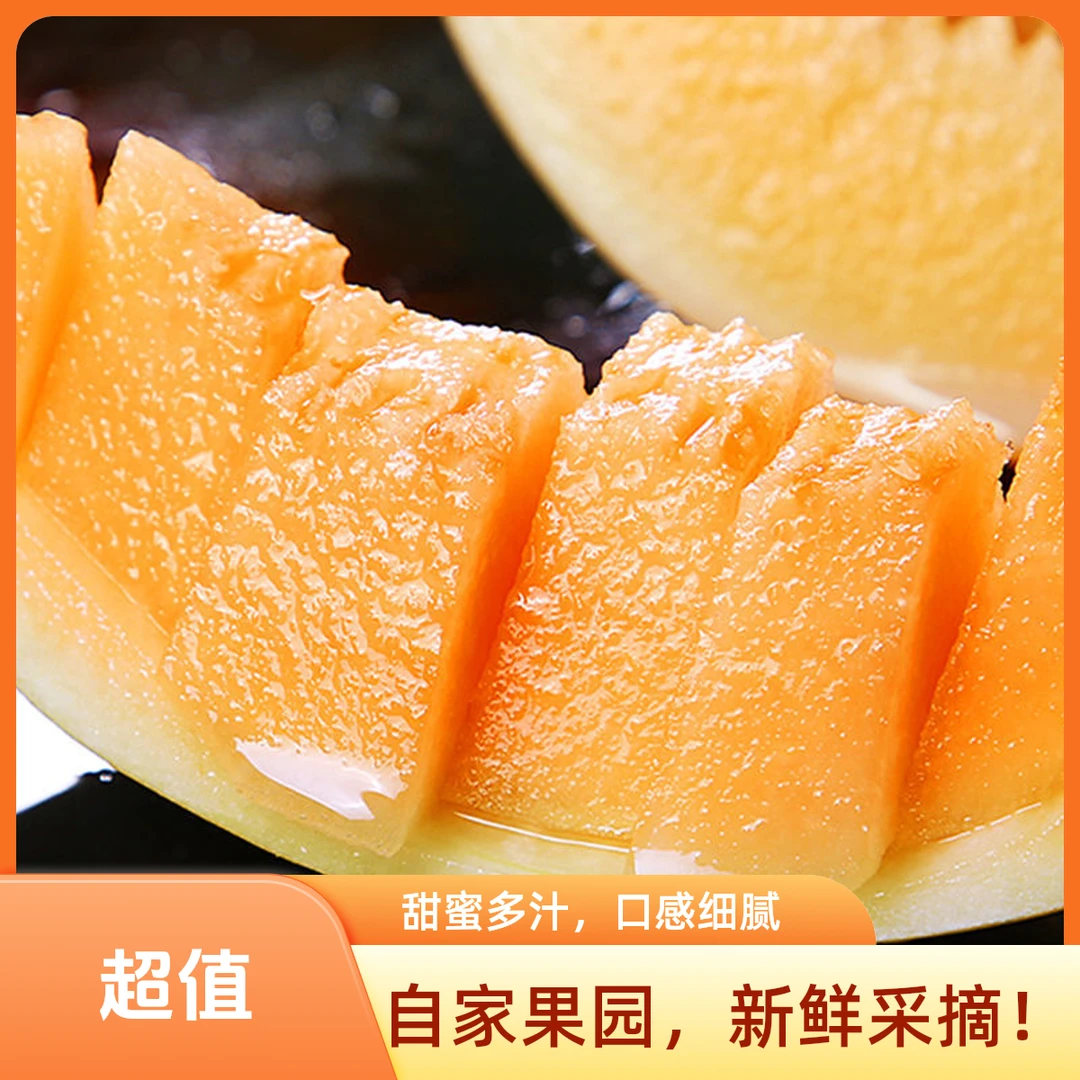 甘肃民勤沙漠蜜瓜多汁香甜新鲜当季水果产地直发甜瓜香瓜吃瓜美味