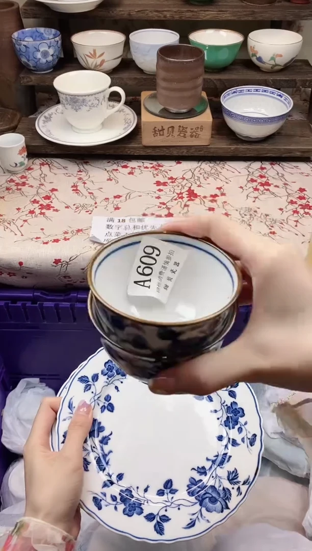 瓷片                A609