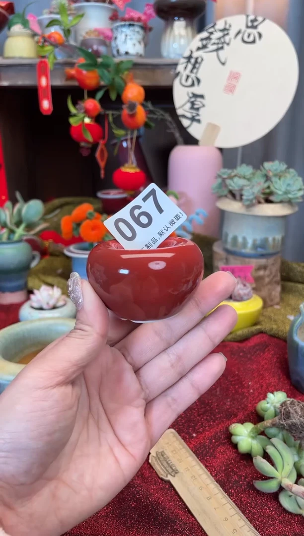 【闪购商品】摆件067福利知木小芳花盆编号