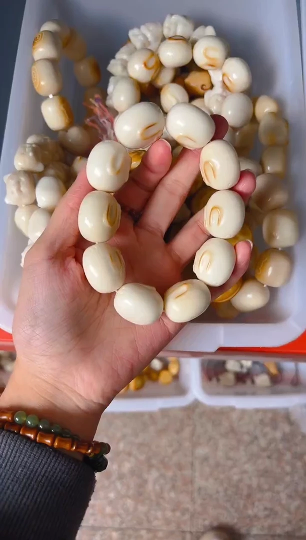 吊坠菩提根/象牙果大卡白色花兔单圈