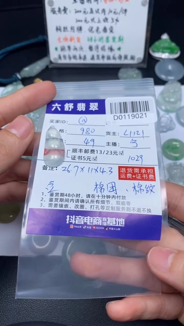 【闪购商品】翡翠吊坠(不含链)未镶嵌D0119021