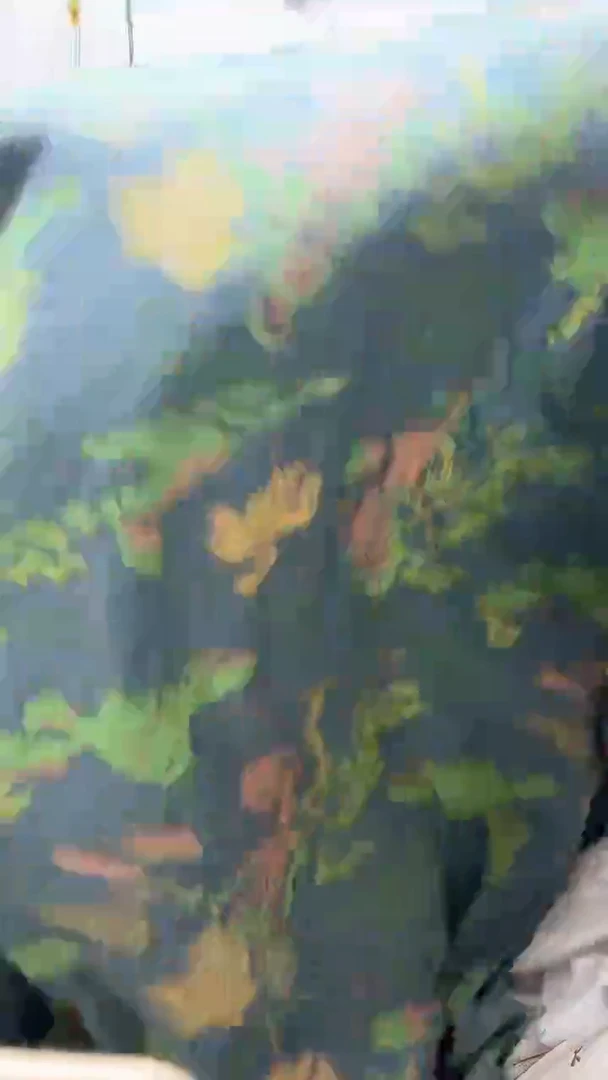 孤品大布头小布头119