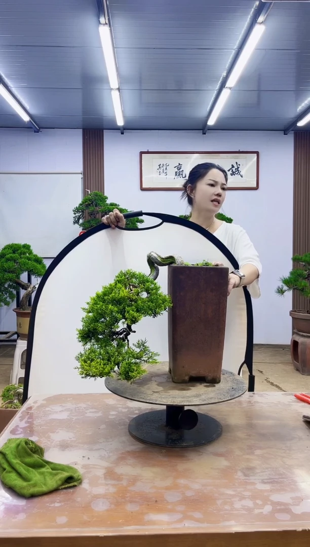 凌***钟0000000000000