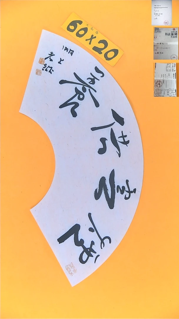 书法江孝龙书法扇面福利烟云供养60*20