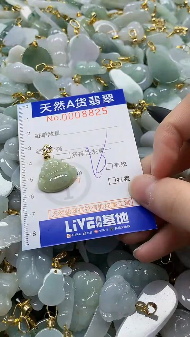 颈饰未镶嵌翡翠纯天然a货翡翠