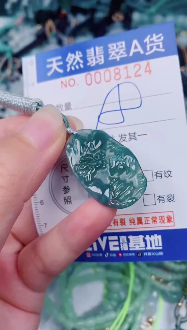颈饰未镶嵌翡翠00008124
