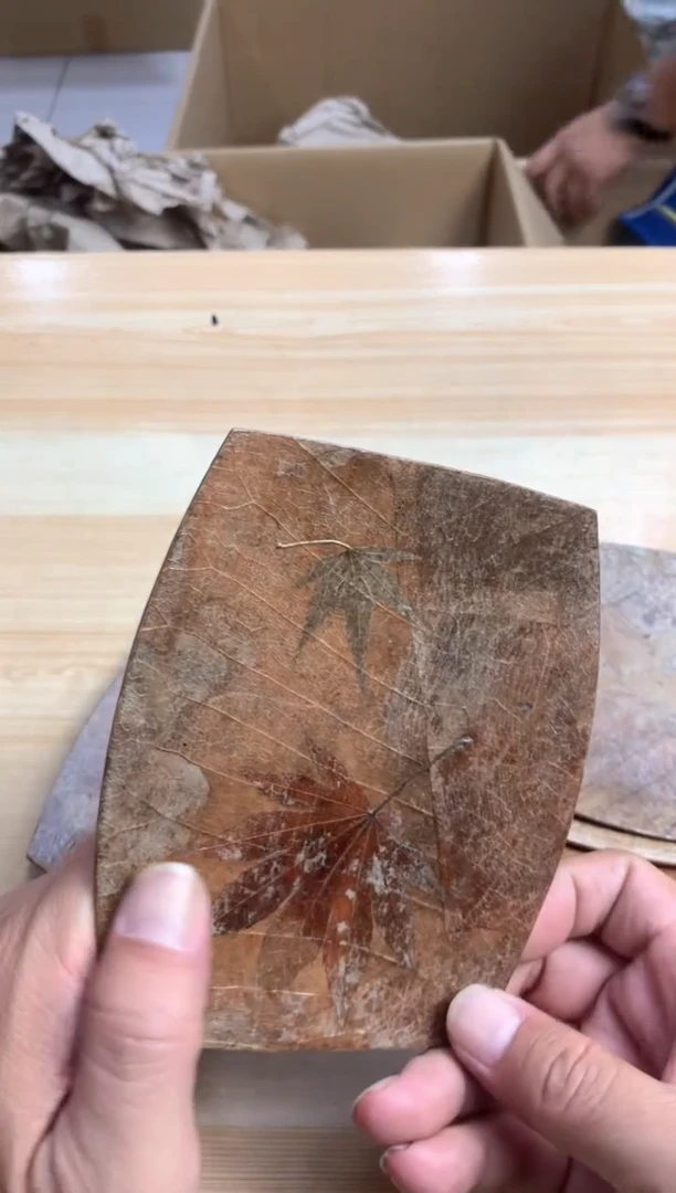 默认微瑕，no退no换，介意勿拍  5只