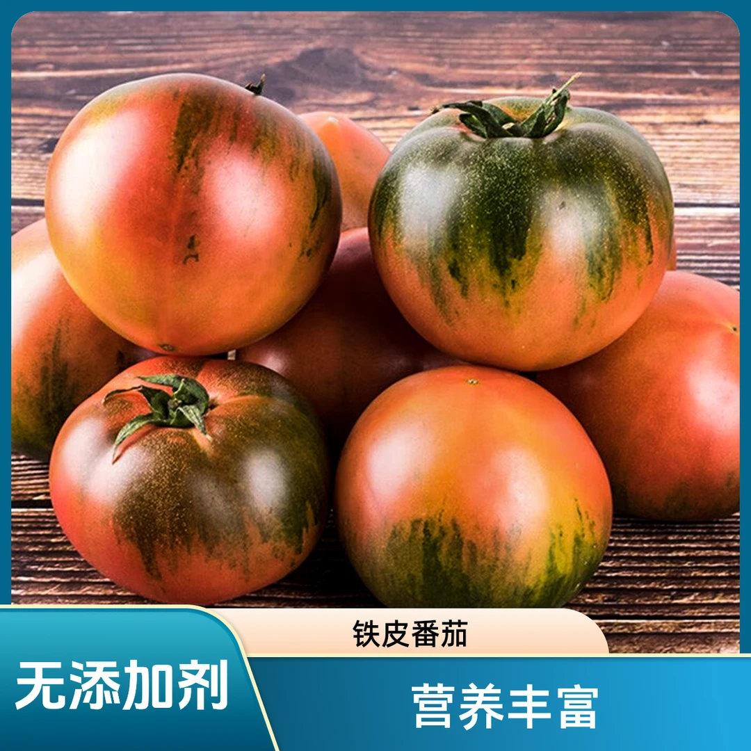 【甄营果蔬】（5斤大果）天津市番茄擂台赛“擂主奖” 铁皮番茄 西红柿