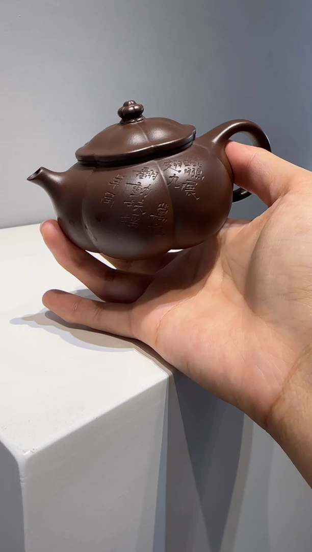 茶壶紫砂向**海大鱼海棠