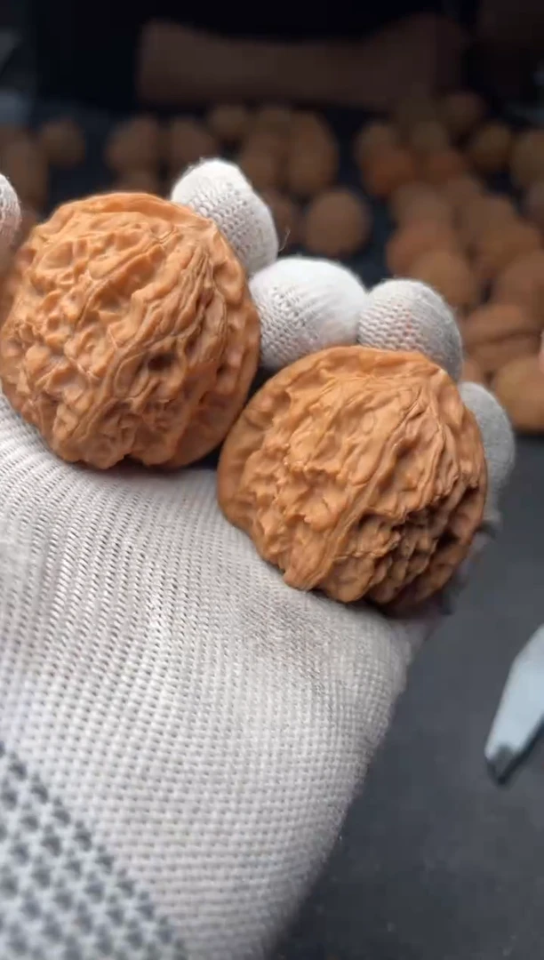 核桃a160  白狮子39尺