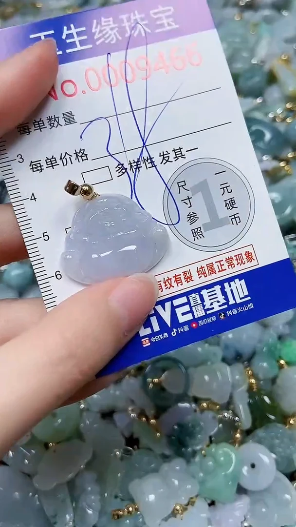 【闪购商品】翡翠颈饰未镶嵌闪购00009466