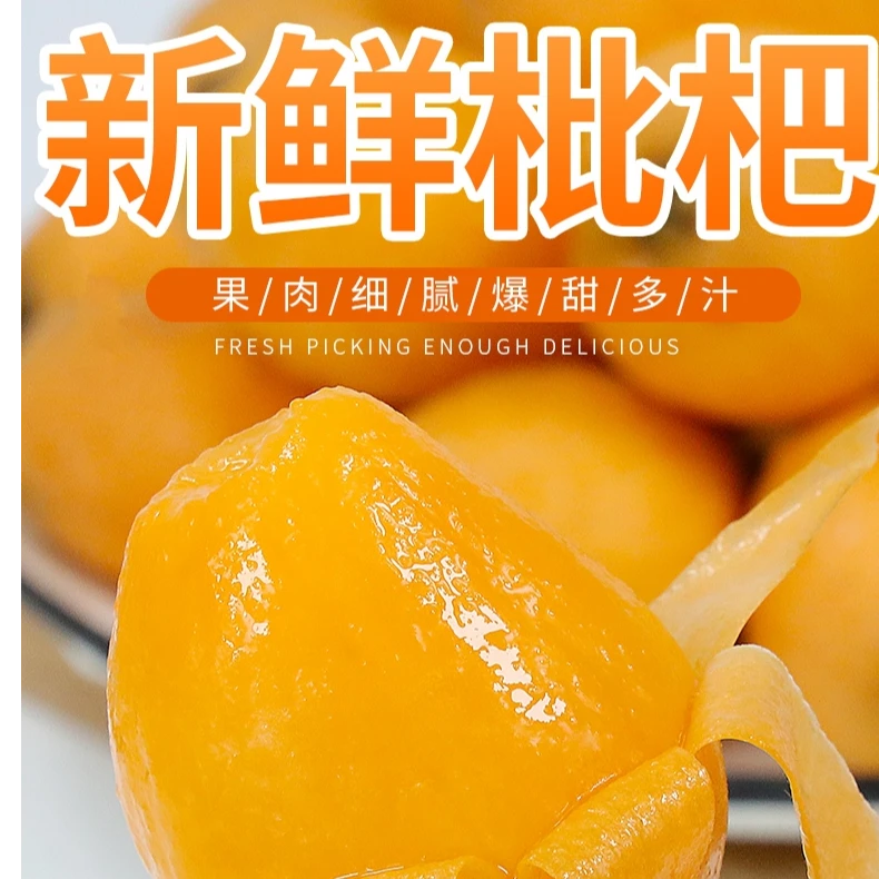 【卡佳推荐】）莆田枇杷大果园采摘肉质果香新鲜品质爽口