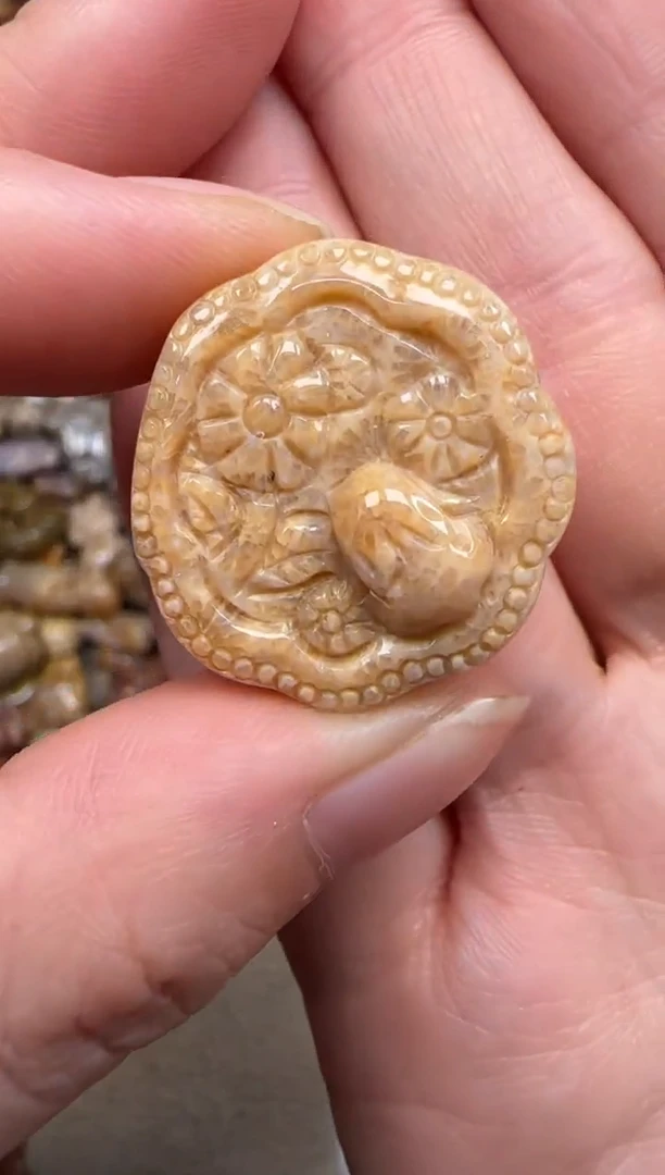 硅化珊瑚（珊瑚玉）未镶嵌颈饰164