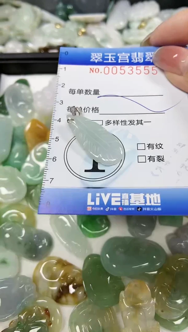 【闪购商品】翡翠颈饰未镶嵌闪购0053555