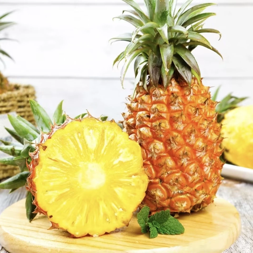 C海南金钻凤梨17号新鲜树上热带水果海南农场产地直发脆甜爆汁