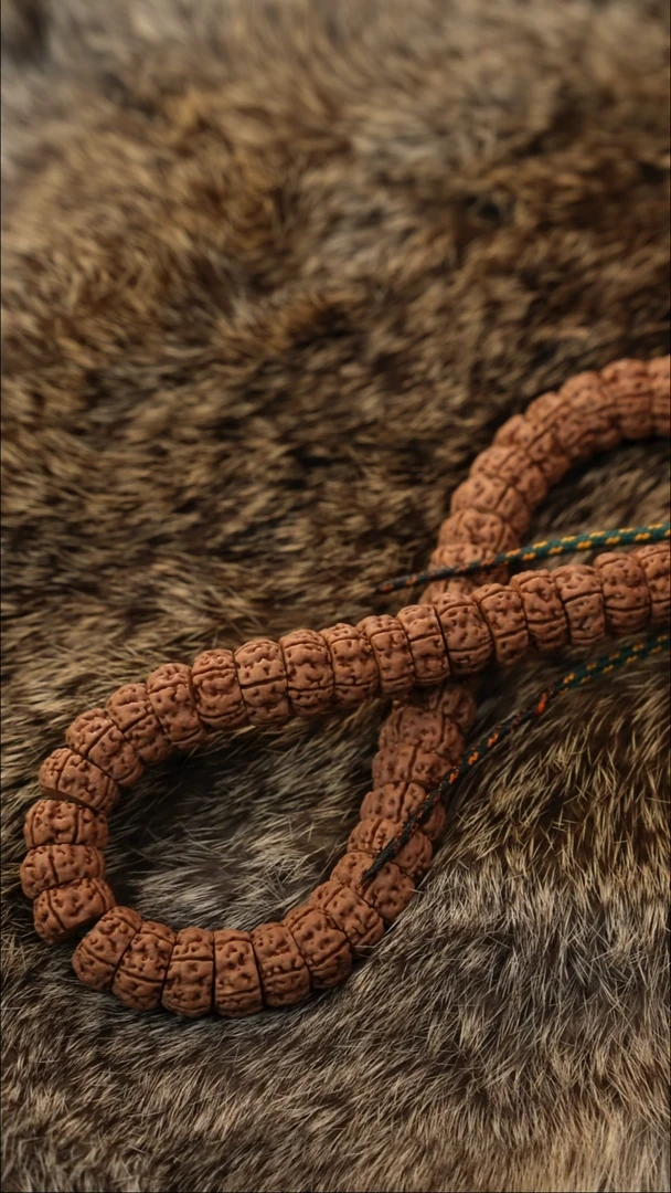 吊坠柏香籽/百香籽大肠