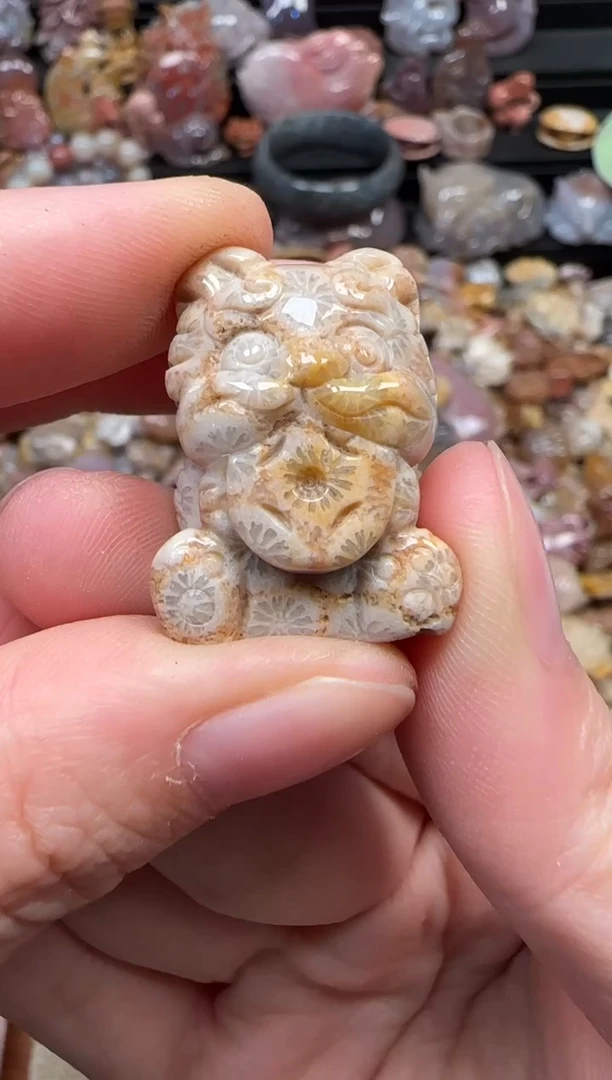 颈饰未镶嵌硅化珊瑚（珊瑚玉）269