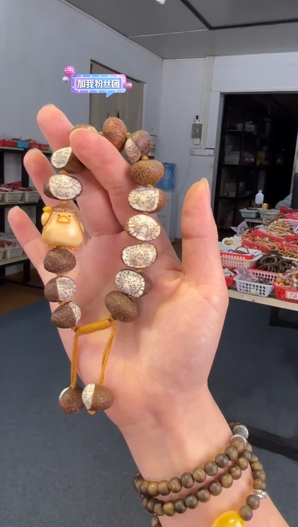 吊坠菩提根/象牙果星月元宝【门前大桥下】手持