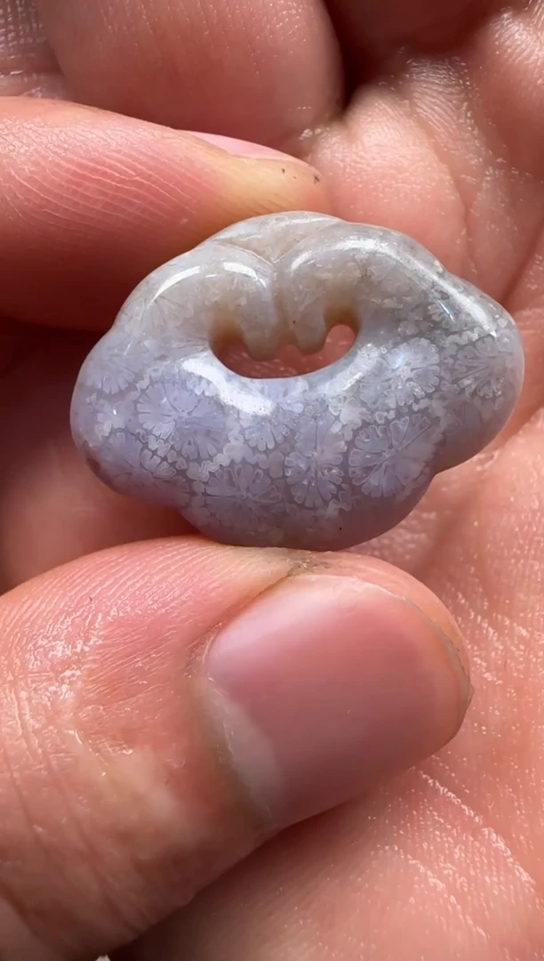 【闪购商品】硅化珊瑚（珊瑚玉）颈饰未镶嵌082