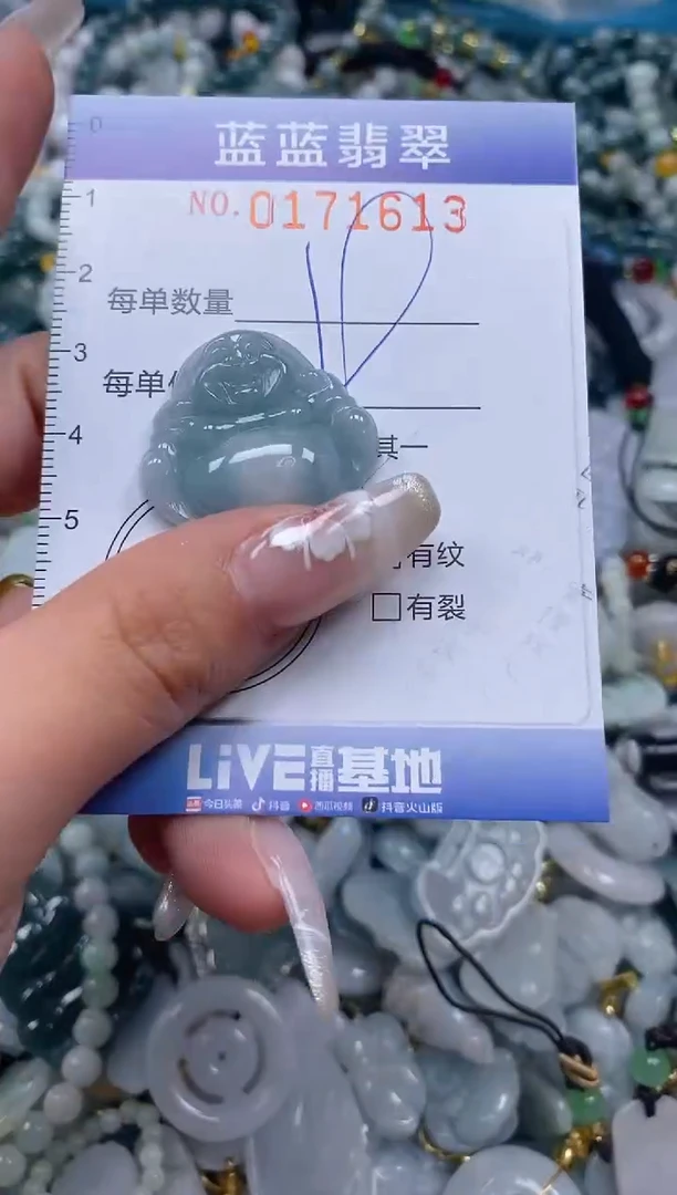 【闪购商品】翡翠颈饰未镶嵌闪购0171613