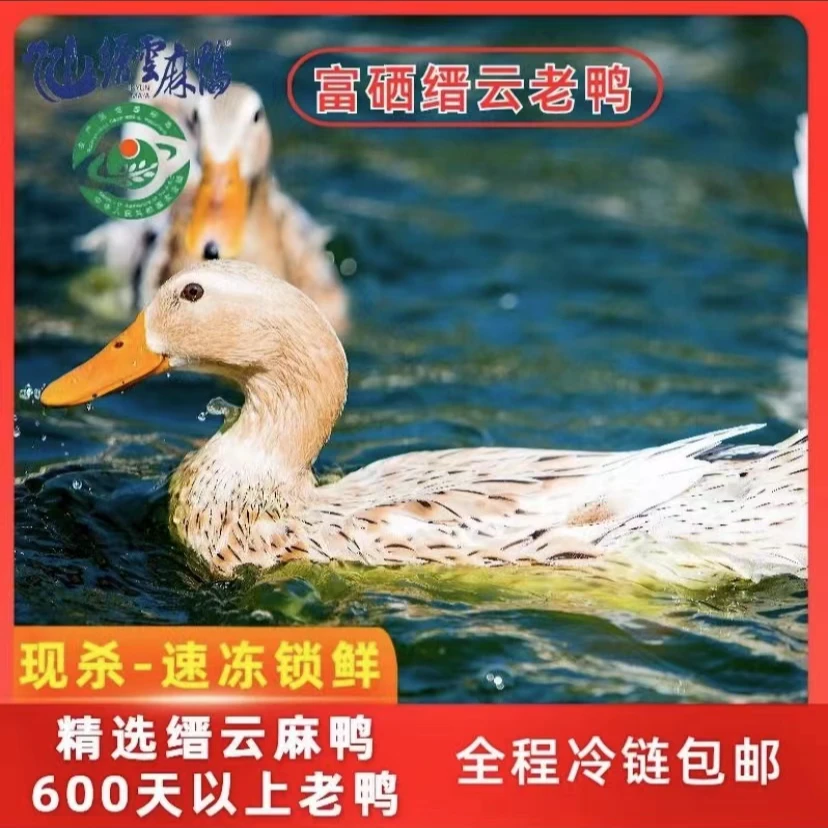 [溯源赠火腿切片]国家地标产品缙云麻鸭600天净膛富硒老麻鸭1kg