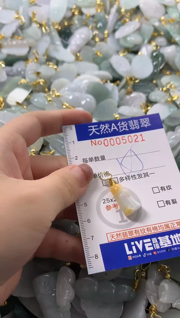 颈饰未镶嵌翡翠天然A货翡翠