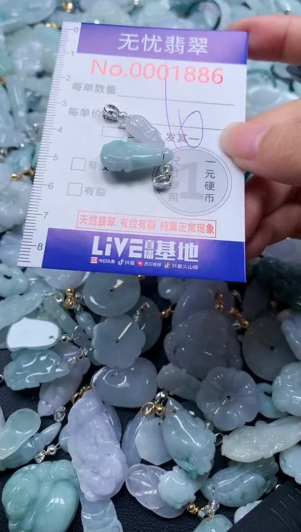 颈饰未镶嵌翡翠1886