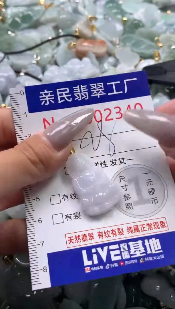 颈饰未镶嵌翡翠2340