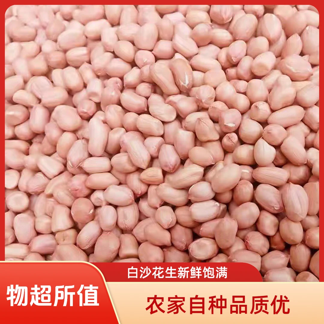 河南白沙花生米24年农家新货脱壳大颗粒新鲜粉皮白沙新花生米