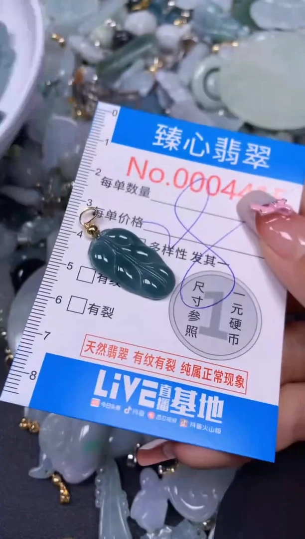 【闪购商品】翡翠颈饰未镶嵌含绳0004415