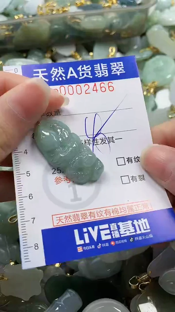 颈饰未镶嵌翡翠纯天然a货翡翠