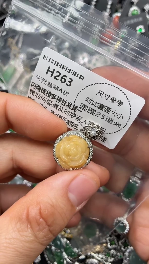 颈饰未镶嵌翡翠H263吊坠