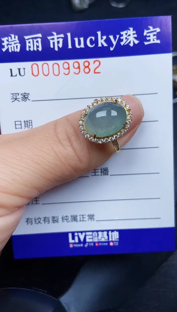 翡翠银S925镶嵌颈饰9982