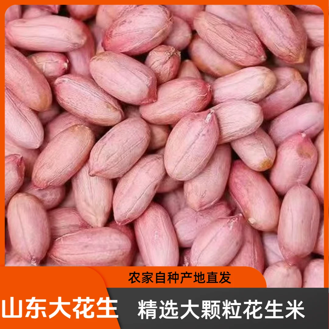 山东大花生2025年新鲜大颗粒花生米 粉红皮长粒花生米