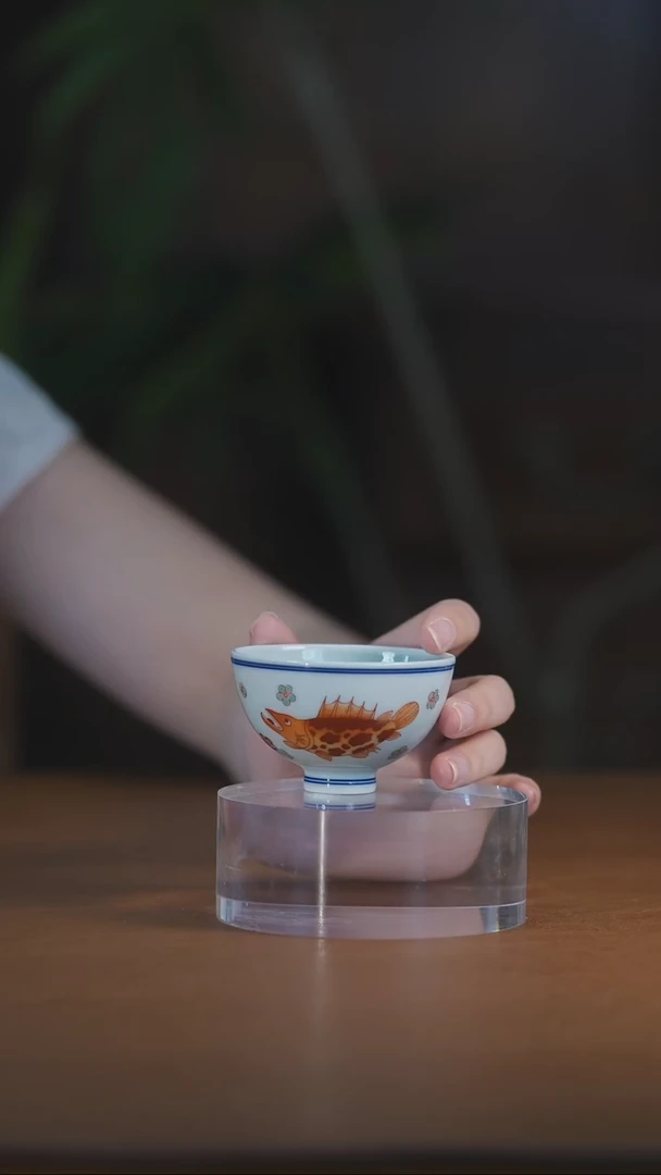 繁红鱼藻鸡心杯