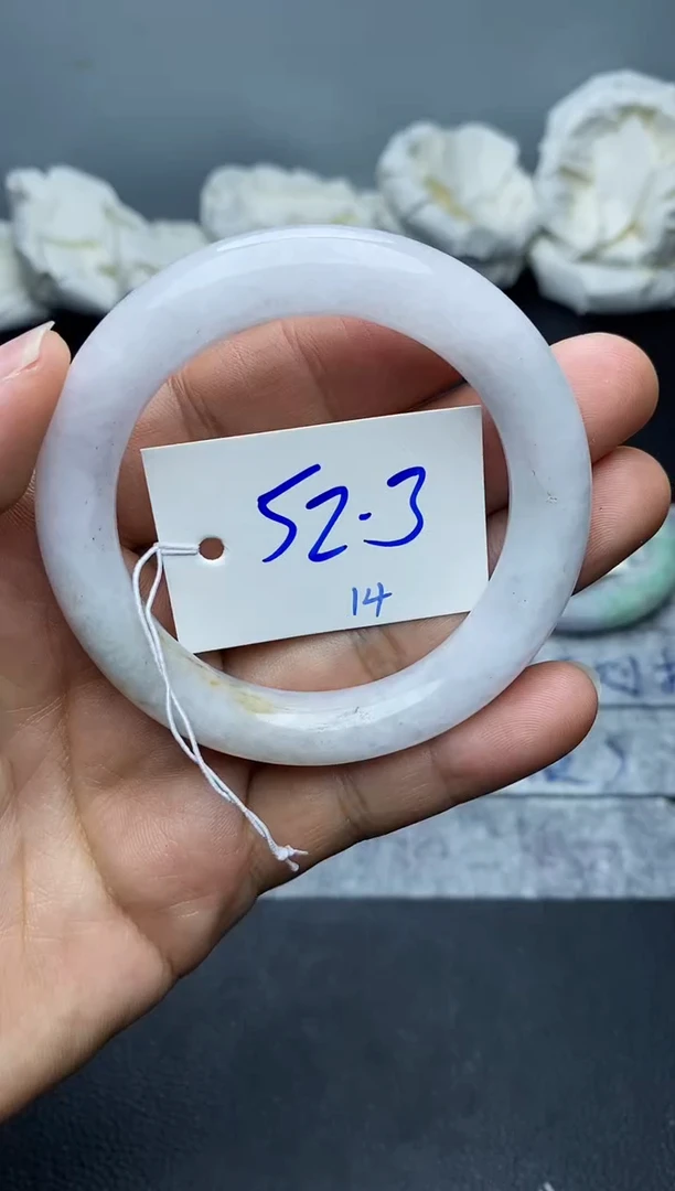 未镶嵌手镯翡翠14