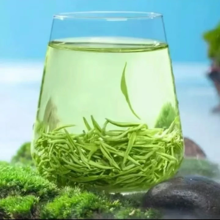 【买半斤送半斤】2025年新茶今年头采高山云雾绿茶清香耐泡鲜嫩XX