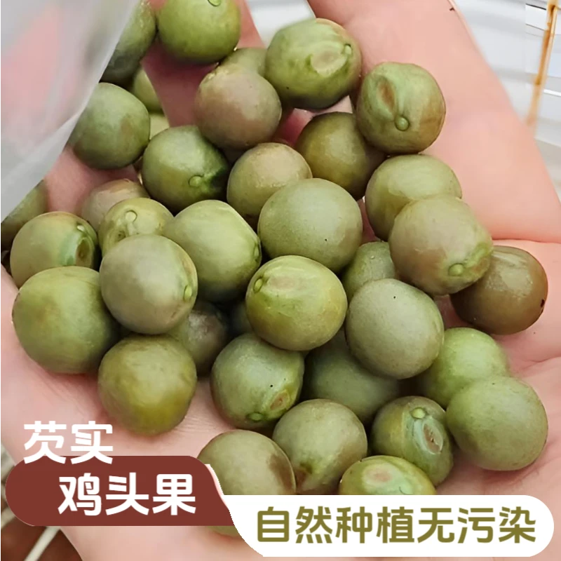 新鲜鸡头果芡实2025新货