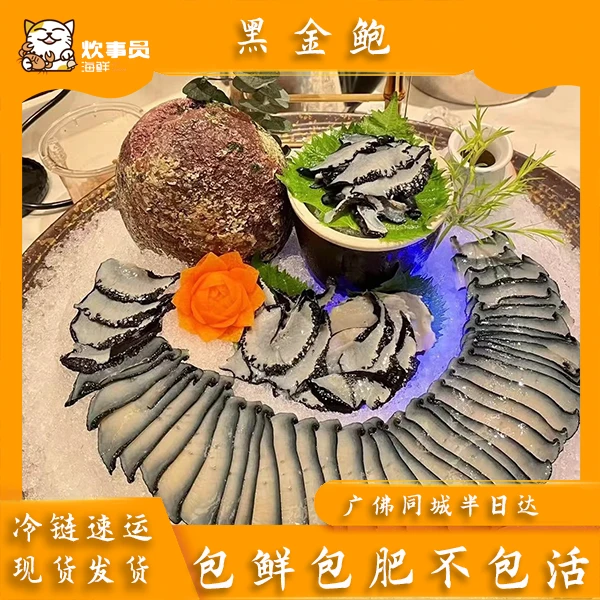 活发新鲜捕捞新西兰黑金鲍 充氧活发 海鲜码头发货 8-9两/只